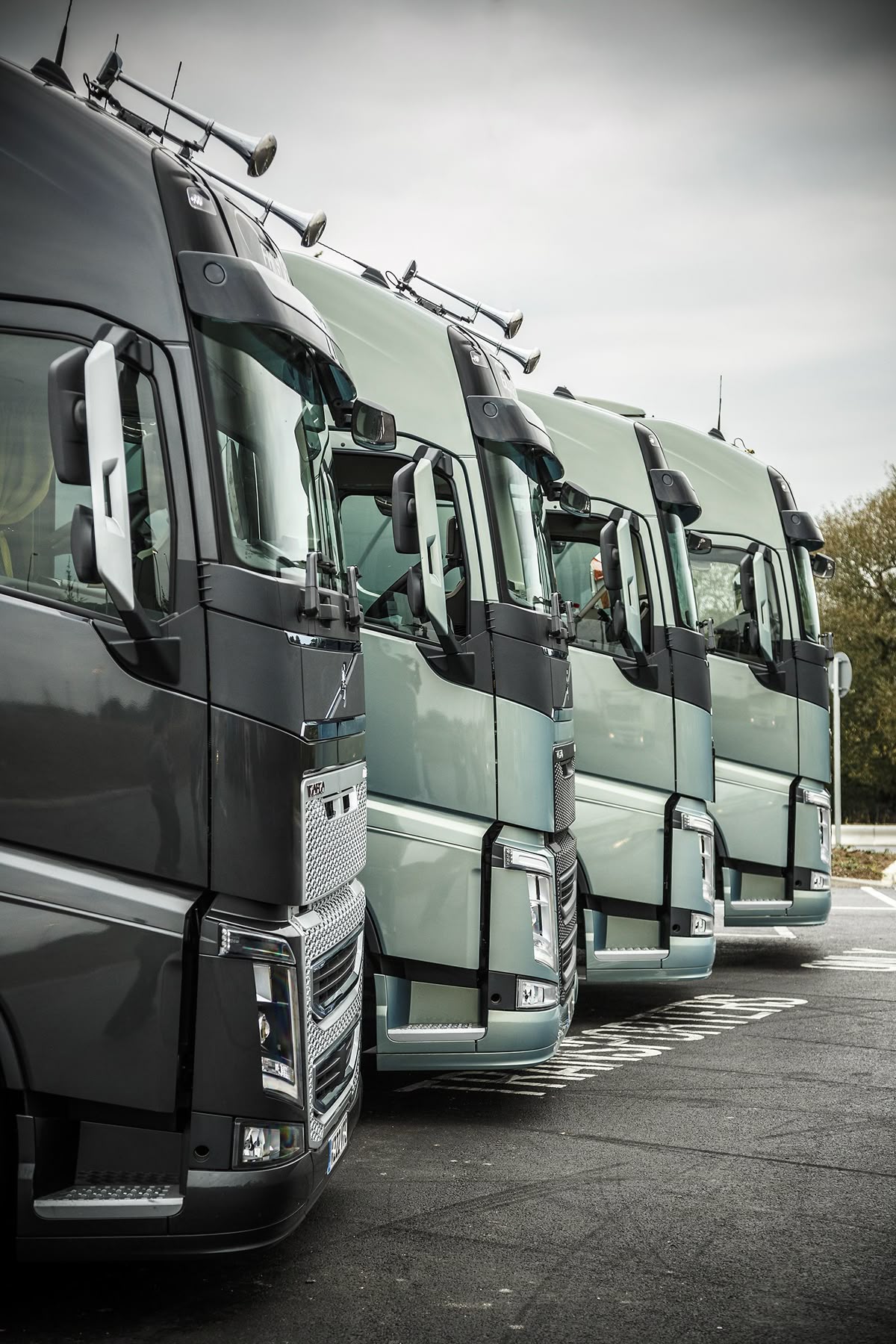 Structured support across leasing, process coordination, and implementation guidance.